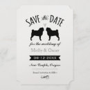 Zoek naar pug briefkaarten Gast