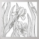 Zoek naar iris tekening posters Bloem