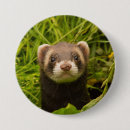 Zoek naar neus buttons Schattig dier