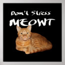 Zoek naar oranje kat posters Voor iedereen