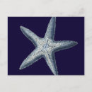 Zoek naar shell briefkaarten Zeeschelpen