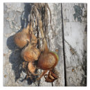 Zoek naar vers tegels Koken