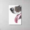 Zoek naar great dane kunst Verticaal