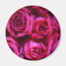 Zoek naar macro magneten Roze