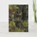 Zoek naar langwerpig briefkaarten Uil