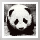 Zoek naar panda kunst Dier