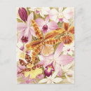 Zoek naar paarse orchidee briefkaarten Voor iedereen