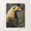 Zoek naar jag puzzels Natuur