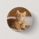 Zoek naar katten afbeeldingen buttons Gezelschapsdieren