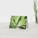 Zoek naar oom kaarten Moeder