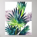 Zoek naar palmen posters Botanisch