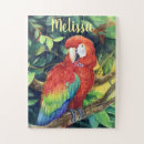 Zoek naar papegaaien puzzels Waterverf