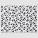 Zoek naar panda tissue papier Zwart wit