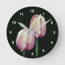 Zoek naar roze tulpen klokken Fotografie