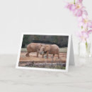 Zoek naar afrikaanse olifant kaarten Elk persoon