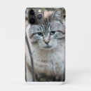 Zoek naar siamese iphone hoesjes Feliene