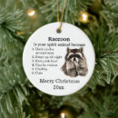 Zoek naar wasbeer ornamenten Kerst