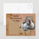 Zoek naar internationaal briefkaarten Kat
