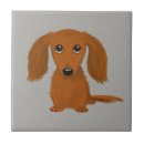 Zoek naar lang haar tegels Hond