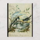 Zoek naar swallow briefkaarten Illustratie