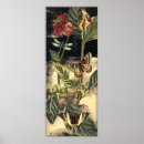 Zoek naar libellen posters Botanisch