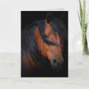 Zoek naar paarden kaarten Verlies