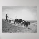 Zoek naar ploeg posters Vintage