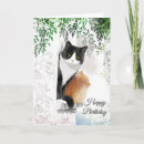Zoek naar tuxedo cat kaarten Schattig