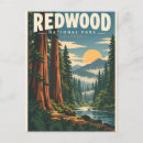 Zoek naar redwood briefkaarten Bos