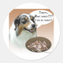 Zoek naar australische herder stickers Aussie