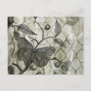 Zoek naar arabesque briefkaarten Insecten