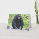 Zoek naar chimpansee verjaardagskaarten Primaat