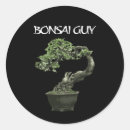 Zoek naar bonsai boom stickers Bonsairboom