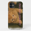 Zoek naar cuteness Katje