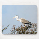 Zoek naar birds muismatten Dieren