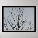 Zoek naar vogels posters Elk persoon