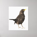 Zoek naar zangvogel kunst Wild