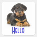Zoek naar rottweiler hond stickers Puppies