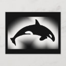 Zoek naar orka briefkaarten Moordwalvis