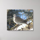 Zoek naar doven kunst Voor hem/haar