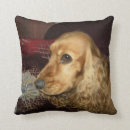 Zoek naar spaniel kussens Bruin