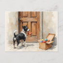 Zoek naar bruine witte hond briefkaarten Elk persoon