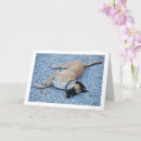 Zoek naar mond kaarten Dieren