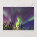 Zoek naar aurora briefkaarten Winter