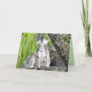 Zoek naar gram kaarten Foto