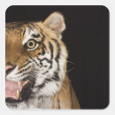 Zoek naar agressie stickers Verticaal
