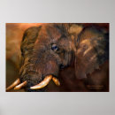 Zoek naar afrikaanse schilderijen posters Olifant
