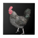 Zoek naar haan tegels Rooster