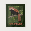 Zoek naar rode panda posters Himalaya
