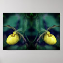 Zoek naar natuur kunst Voor haar